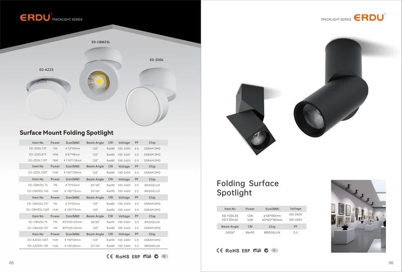 AZ Adjustable Spot ED-AZZDSL100 — ED-AZZDSL100