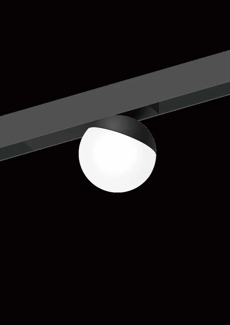 Flood light HS25-100F — HS25-100F